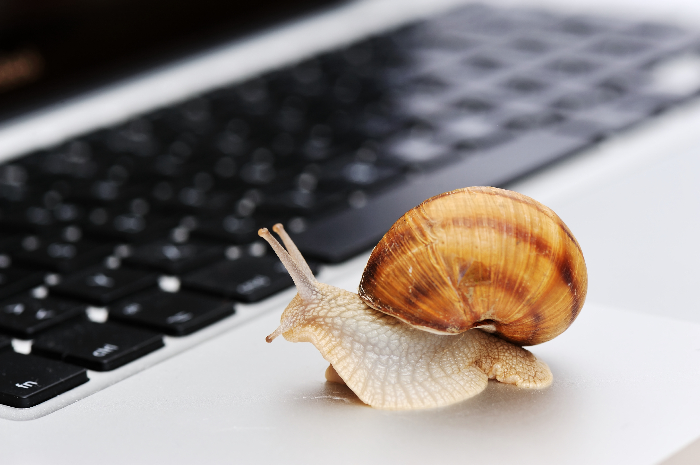 slow technology like snail move to cloud communications